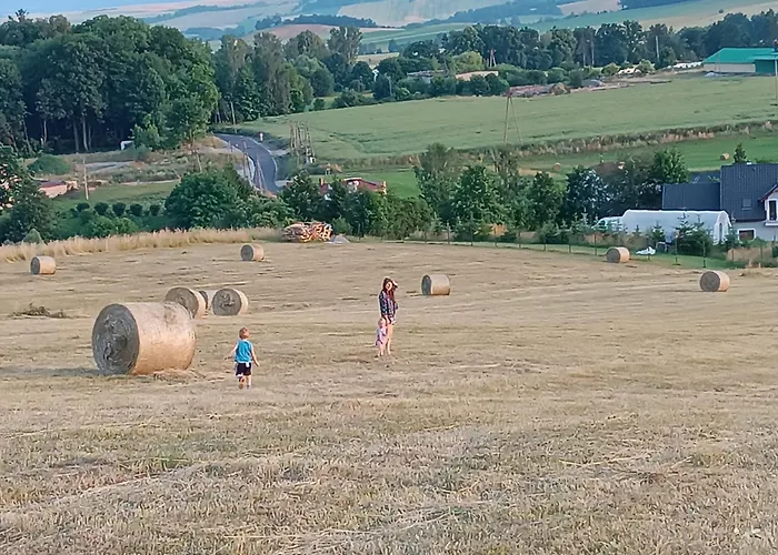 Osada Bożków Z Jacuzzi Domek alpejski *